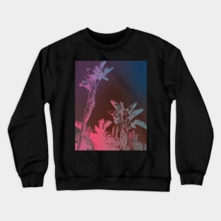 California Dreaming Crewneck Sweatshirt